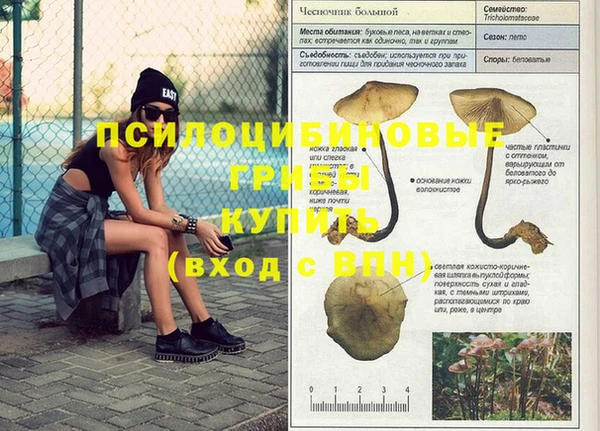 крисы Баксан