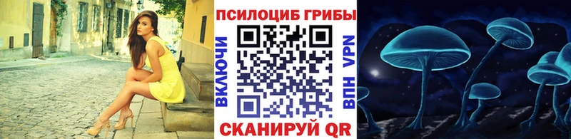 Псилоцибиновые грибы Psilocybine cubensis  Павловская 